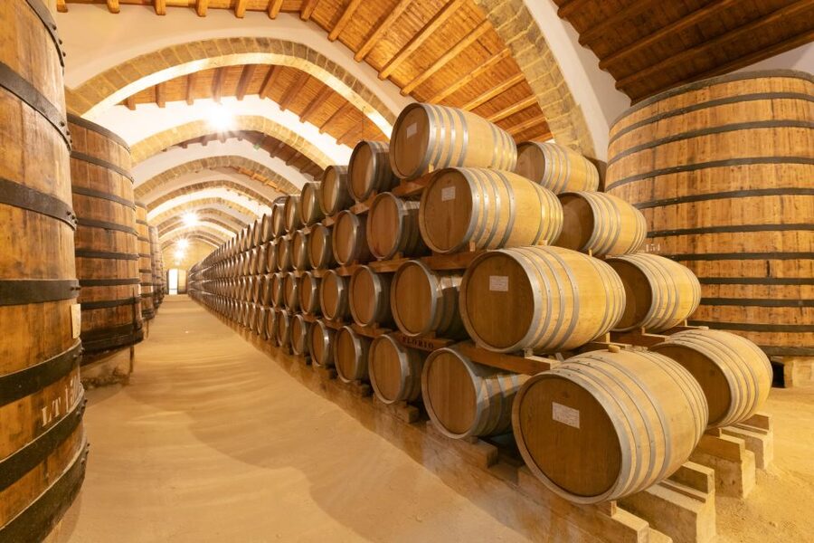 Marsala: Florio Winery Tour with Food-Paired Wine Tastings - 5 Key Things You’ll Notice on the Florio Marsala Tour