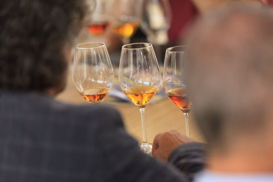 Marsala: Florio Winery Tour with Local Wine Tasting - The Guide Factor: Storytelling That Makes the Place Feel Real