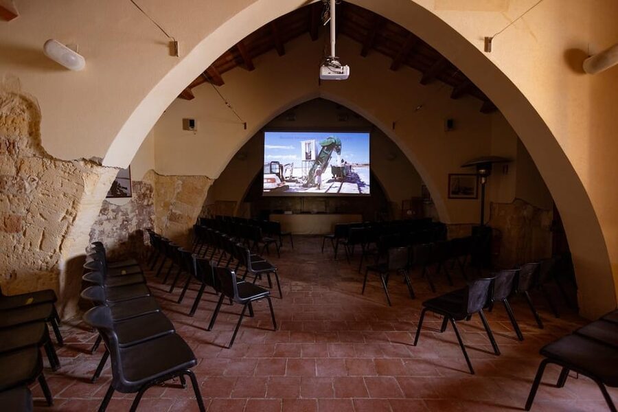 Marsala: Guided Salt Pans Walk Tour with Windmill Visit - Walking the Salt Pans, Mosaics of Color, and Windmill Views