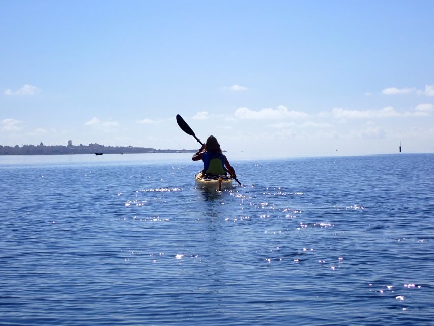 Marsala: Kayak Tour in Stagnone di Marsala Nature Reserve - Price and value: what $82 buys you