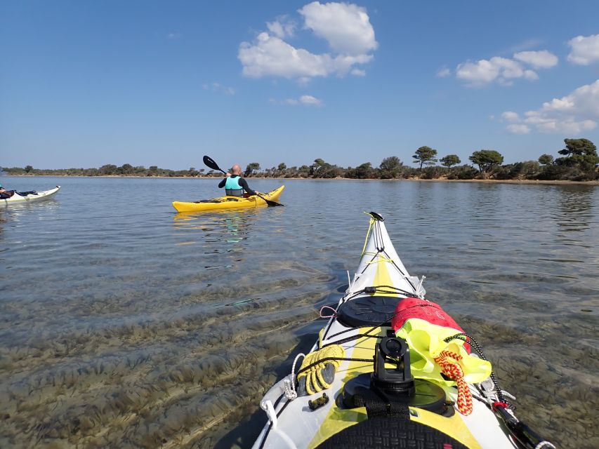 Marsala: Kayak Tour in Stagnone di Marsala Nature Reserve - Isola Schola: the smallest stop and the seagull kingdom