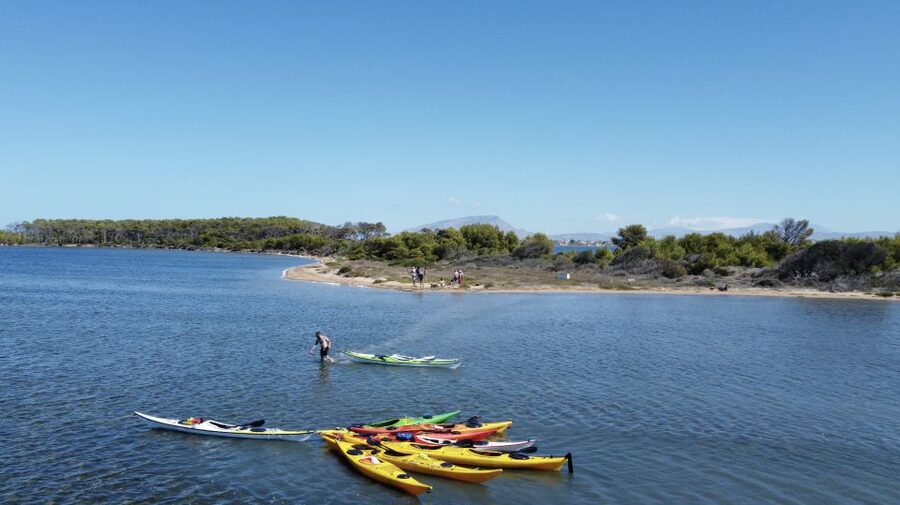 Marsala: Kayak Tour in Stagnone di Marsala Nature Reserve - Breaks and Sicilian snacks: the part you will feel grateful for