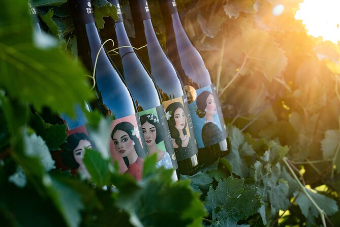Marsala Tasting of 5 Sicilian organic wines - Key highlights you will actually care about