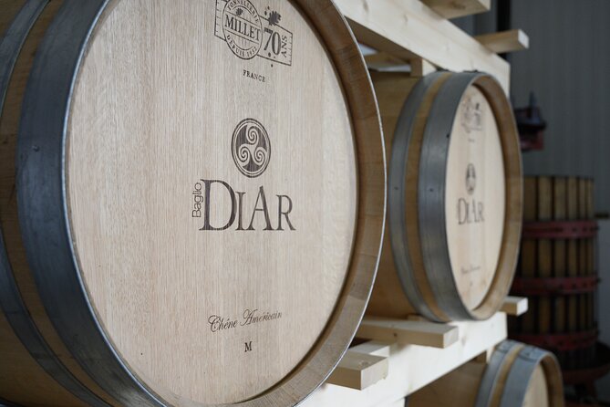 Marsala Tasting of 5 Sicilian organic wines - Olive oil and bread pairing: the small extra that makes it memorable