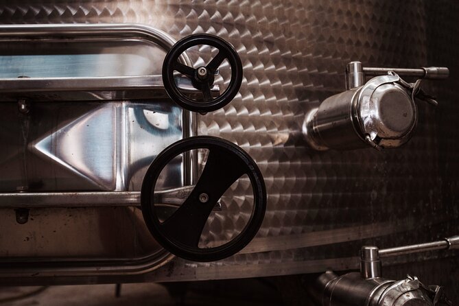 Marsala Tasting of 5 Sicilian organic wines - Who should book this, and who might want to skip it