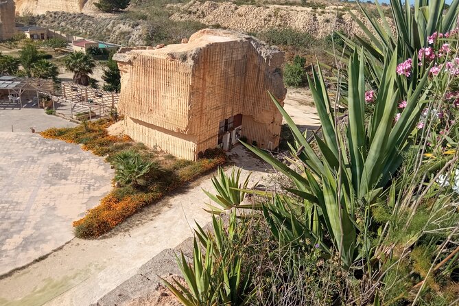 MARSALA UNDERGROUND let's discover the hidden part of the city - Nature moments you can actually spot, including birds