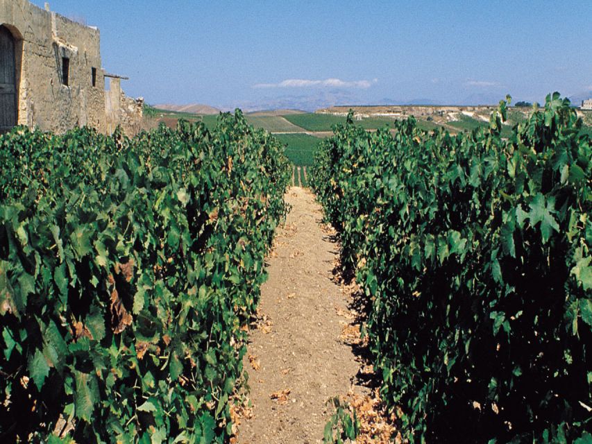 Marsala: Winery Tour with Wine Tasting and Local Products - The Welcome and Production Rooms: Where the Tour Starts to Make Sense