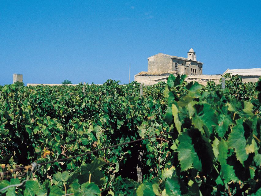 Marsala: Winery Tour with Wine Tasting and Local Products - Marsala DOC Wine Tasting: Refined Sips in a Practical Order
