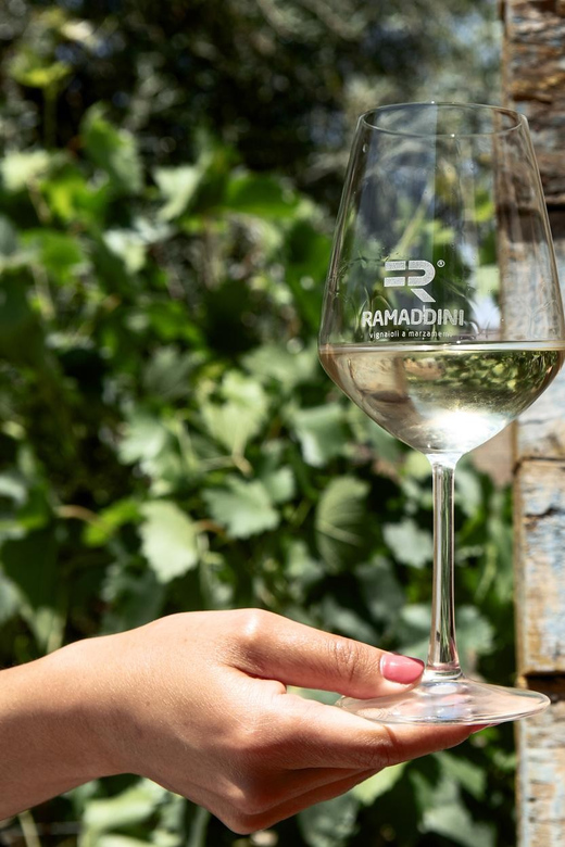Marzamemi: Val di Noto Wine Tour, Wine Tasting & Aperitif - Start at Contrada Lettiera, 1: Where the experience really begins
