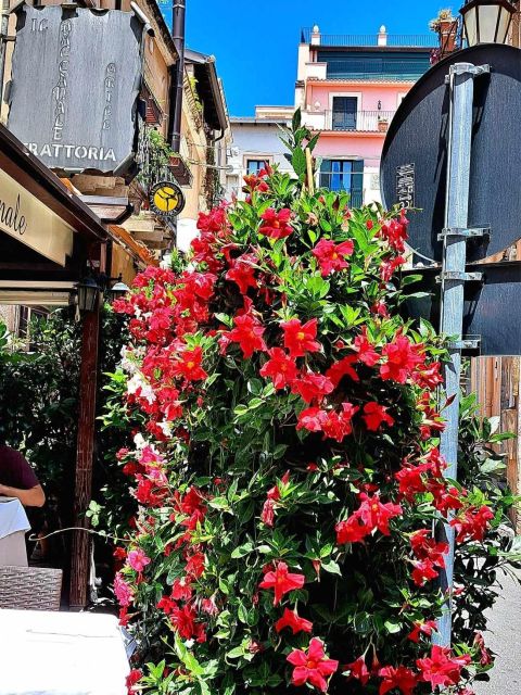 Messina, Savoca, Taormina e Castelmola - Who This Tour Fits Best (and Who Might Prefer Something Else)