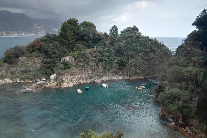 Messina Shore Special Tour of Taormina and Castelmola plus Panoramic Lunch - Price and Value: Getting Lunch, Comfort, and Transport for $217.77