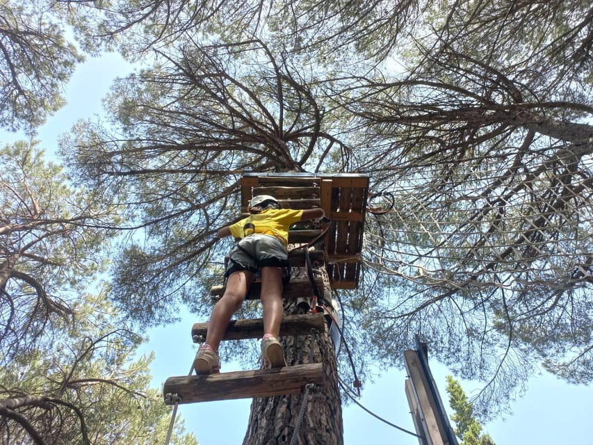 Monti Rossi Adventure Park Entry Ticket - Monti Rossi Adventure Park in Nicolosi, Sicily: Why this forest feels made for adventure