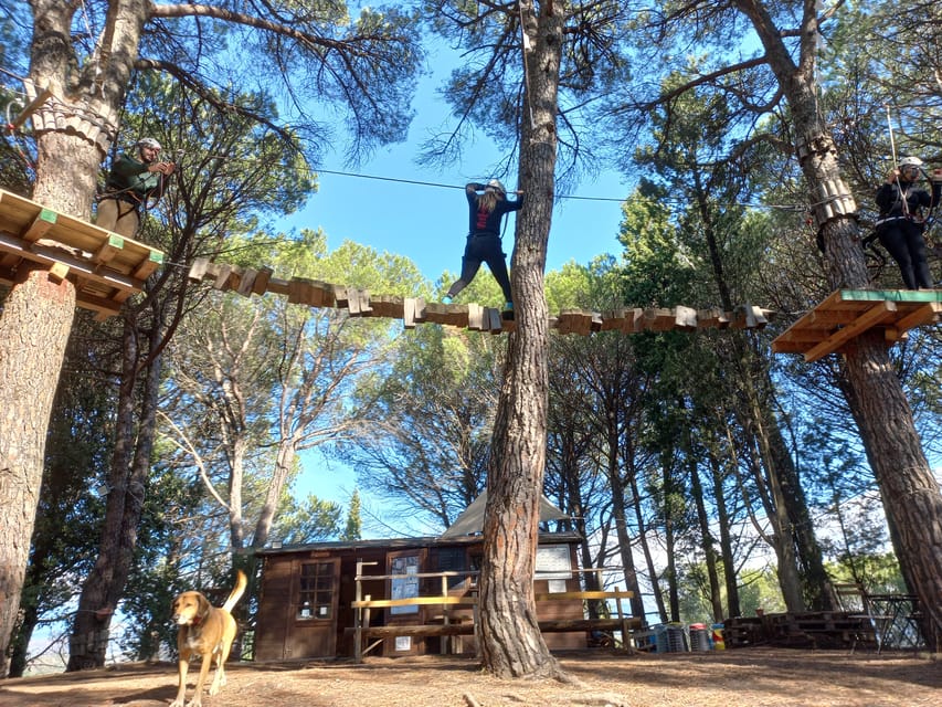 Monti Rossi Adventure Park Entry Ticket - Practical arrival tips in Nicolosi: timing, meeting point, and what to bring