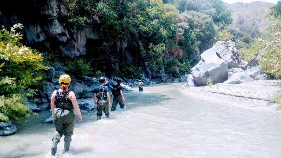 Motta Camastra: River Trekking Tour in the Alcantara Gorges - Price and value check, what $71 gets you in return