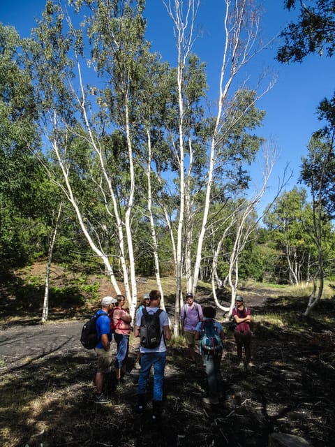 Mount Etna and Alcantara Gorges Day Trip - What the Local Guide Adds (And Why It Changes the Day)