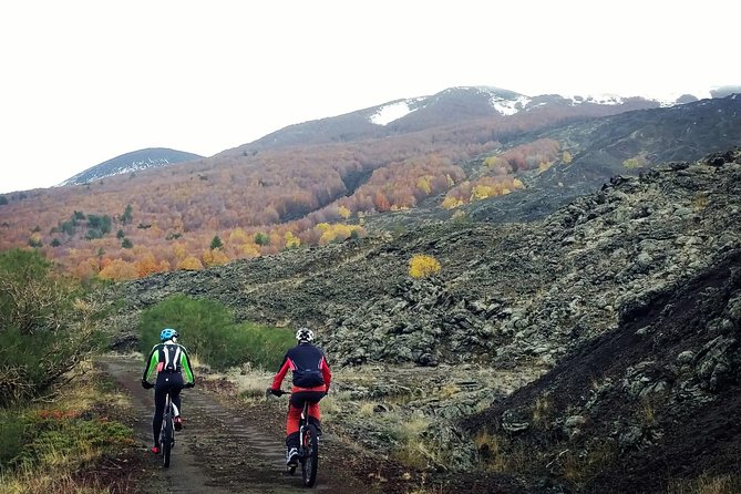 Mount Etna E-bike half-day tour - Cerrita oak woods: your break from the rock