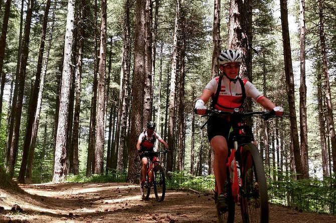 Mount Etna E-bike half-day tour - Guide-led route and small-group pacing
