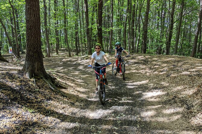 Mount Etna E-bike half-day tour - Price and value: what $114.45 includes, and what it means