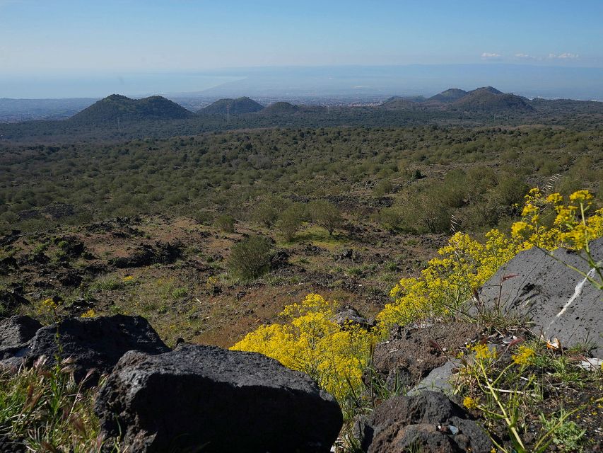 Mount Etna: Half-day Morning Jeep Tour - Valle del Bove caldera: where Etna’s scale becomes real