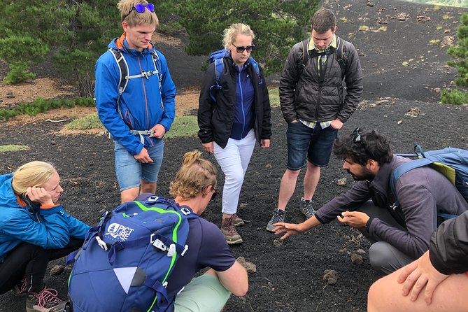 Mount Etna Half-Day Small Group Tour from Taormina - Monti Sartorius trekking: craters, lava fields, and effort level