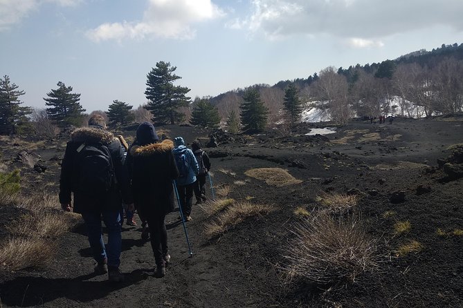 Mount Etna Half-Day Small Group Tour from Taormina - Price and value: what $105.21 buys you