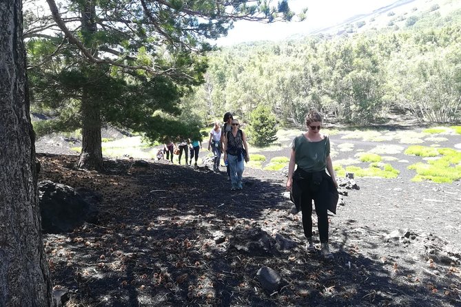 Mount Etna Half-Day Small Group Tour from Taormina - Small-group comfort, group movement, and how the day feels