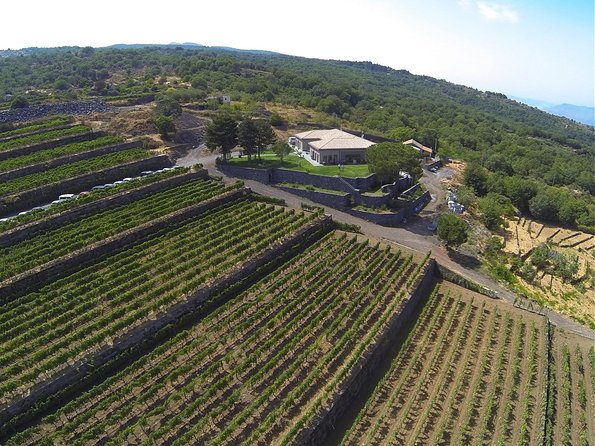 Mount Etna, Lunch in a Winery and Taormina Private Day-Trip from Messina - Lunch expectations: what you should watch for