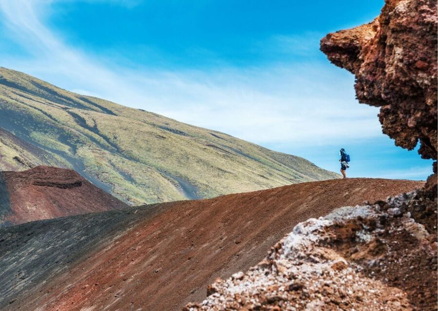 Mount Etna & Taormina Multi-language Tour from Palermo - Price and logistics: is $168.79 worth a 12-hour day?