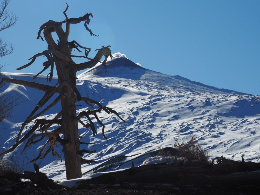 Mount Etna: Trek to the Craters of The 2002 Eruption - Key things you’ll remember about this Etna crater walk