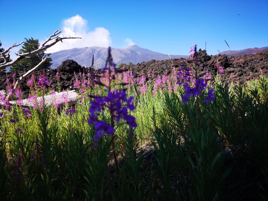 Mount Etna: Trek to the Craters of The 2002 Eruption - The geology lesson you get while you walk the lava