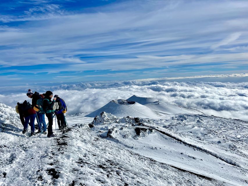 Mount Etna: Volcano Craters Hiking Tour - The real value of this $28 price, plus the on-site fees