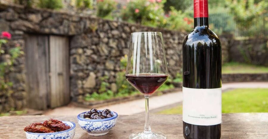 Mount Etna: Winery Tour and Tasting - Why the Etna elevation makes this winery tasting feel special