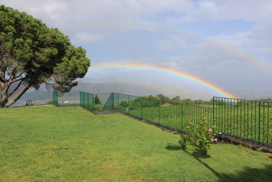 Mount Etna: Winery Tour and Tasting - Who this tour suits best (and who should skip it)