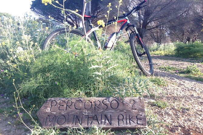 Mount Pellegrino MTB EXPERIENCE - Street Food Tasting on the Mountain, Palermo Style