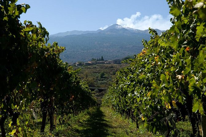 Mt Etna and Wine tasting tour from Catania - Enoteca Dell’Etna wine tasting: a full Sicilian meal, not a snack