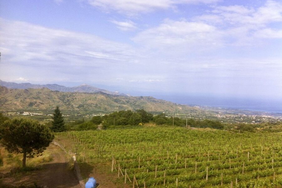Mt. Etna Private Tour with Food and Wine Tasting - Rifugio Sapienza at 2,000 Meters and the Silvestri Craters