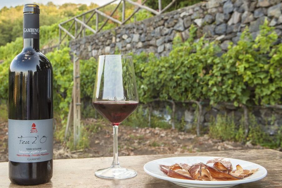 Mt. Etna Private Tour with Food and Wine Tasting - Who should book this private Mt. Etna tour