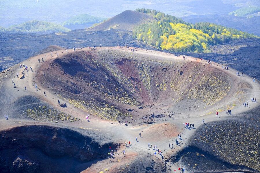Mt. Etna Private Tour with Food and Wine Tasting - Zafferana Etnea Honey Stop, Plus the Tasting Culture