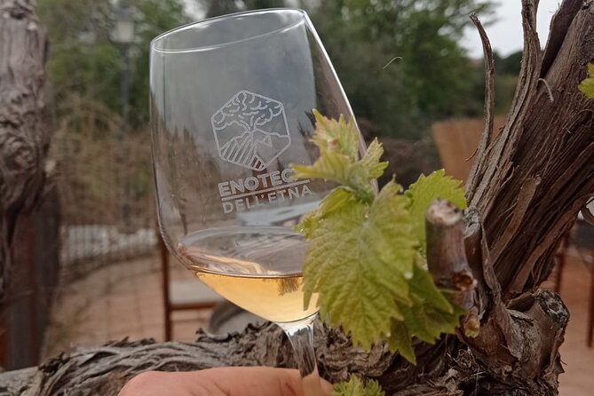 Mt. Etna trekking and Wine tasting - From Syracuse - Enoteca DellEtna at an old millstone: food sampling and wine tasting done right