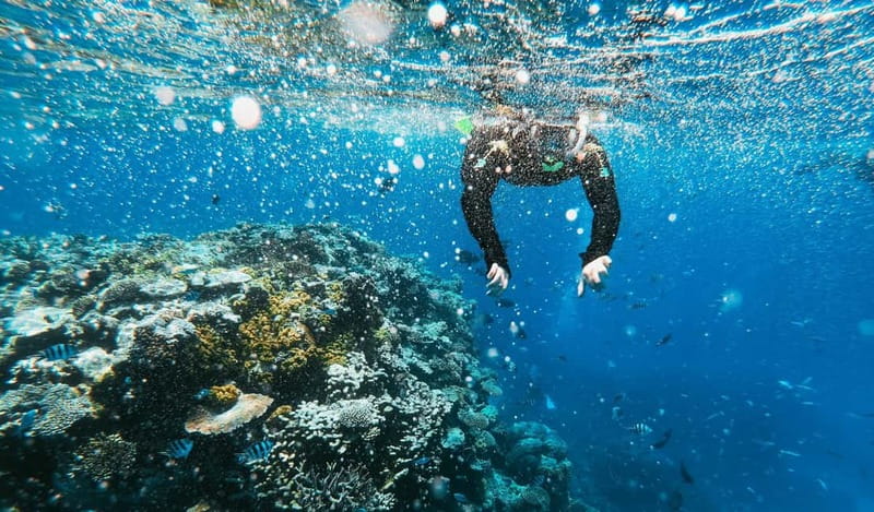 Naxos: Taormina Boat Tour with Snorkeling and Prosecco - Sea caves around Taormina: fast photo stops that still feel special