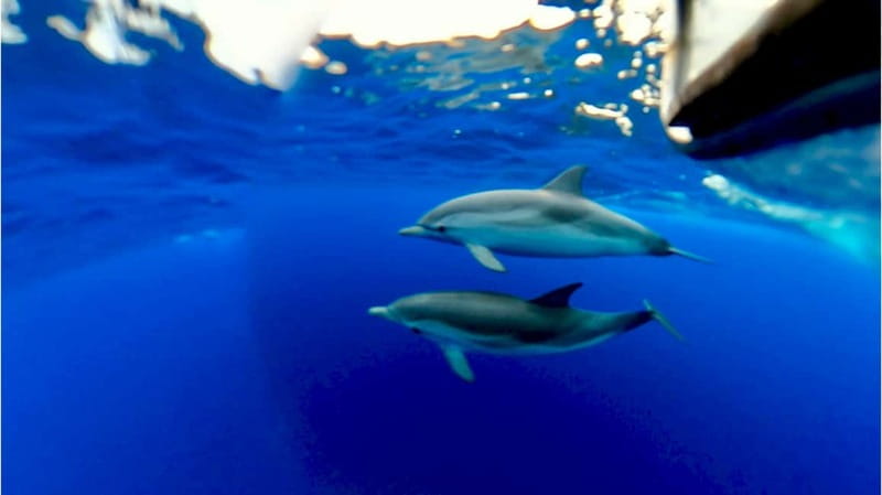 Naxos: Taormina Boat Tour with Snorkeling and Prosecco - Who should book this Taormina boat tour, and who might skip it