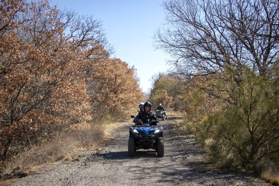 Nicolosi: Mt. Etna Guided Quad Tour Adventure - Automatic Quad Basics: What You Drive and How You Share