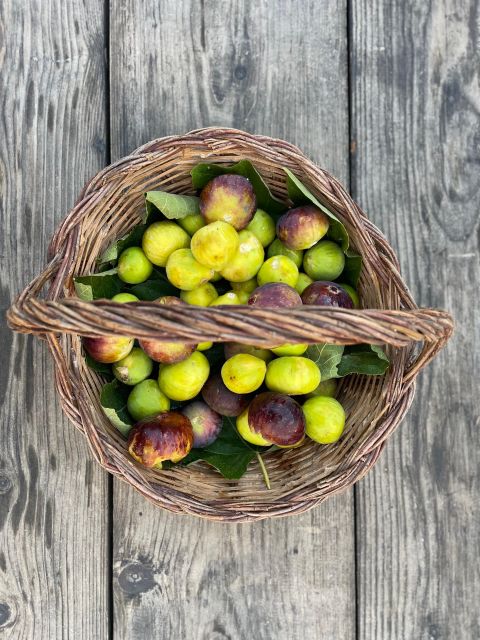 Noto: Farm to Fork in Sicily - Cooking Class in a Farm - Fields walk and farm tastings, the “why” behind the menu