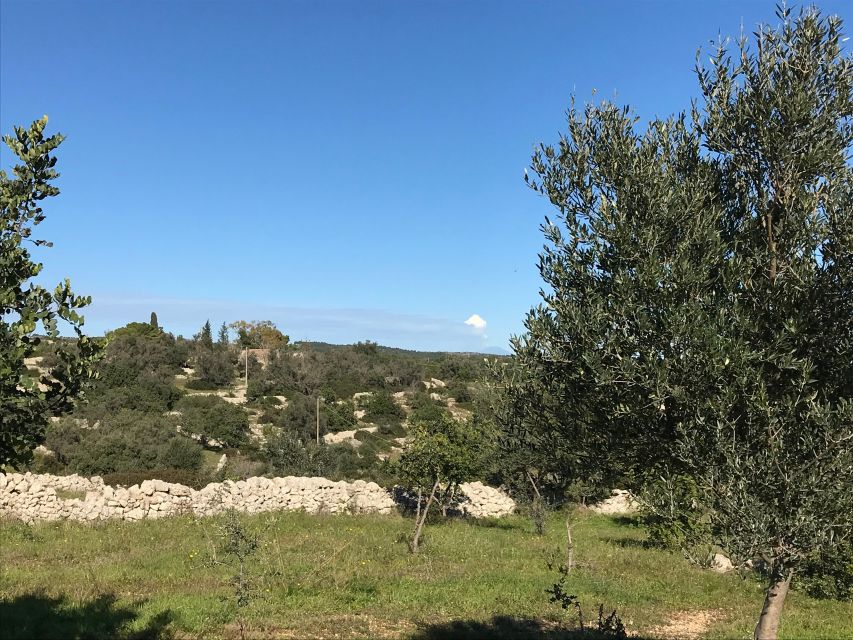 Noto: Farm to Fork in Sicily - Cooking Class in a Farm - Price and value for a 4-hour farm cooking class