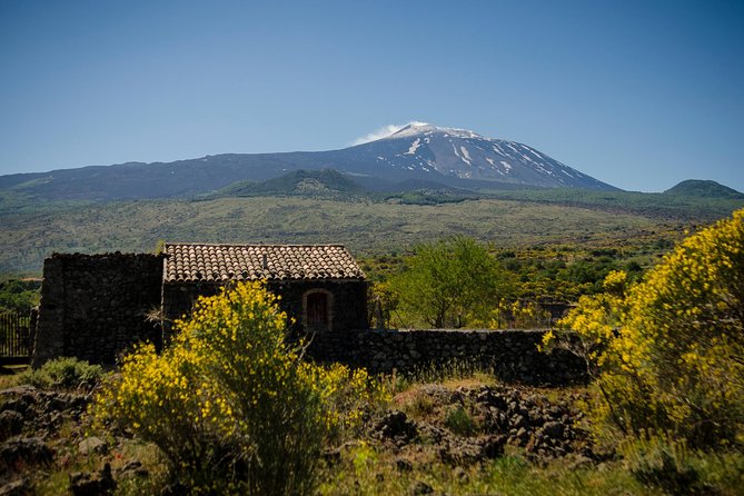 Old Sicily discovery and Etna wine tasting tour from Taormina - Etna and old Sicilian stops from Taormina
