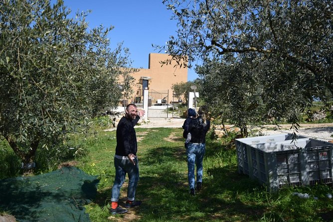 Olive Oil Experience - Who this olive oil experience suits best