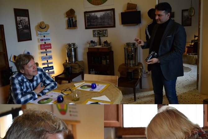 Olive Oil Experience - Walking the olive grove and learning old vs modern harvesting