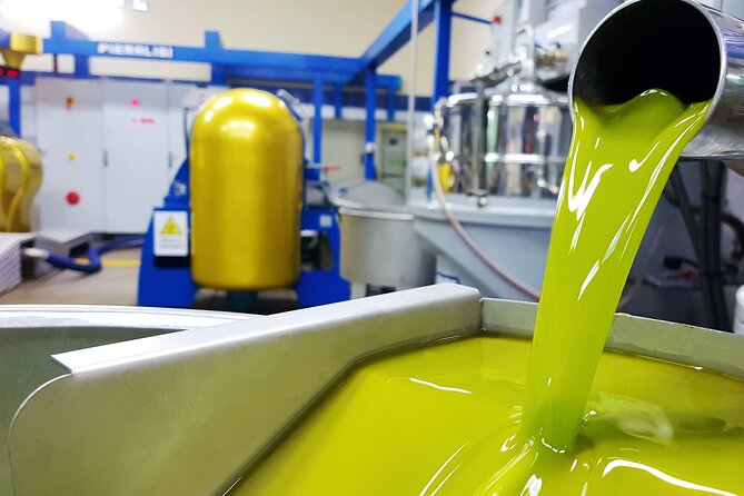 Olive Oil Tasting & Historic Olive Mill Tour in Ragusa area - Oleificio Gulino mill visit: what you actually see in 1 hour