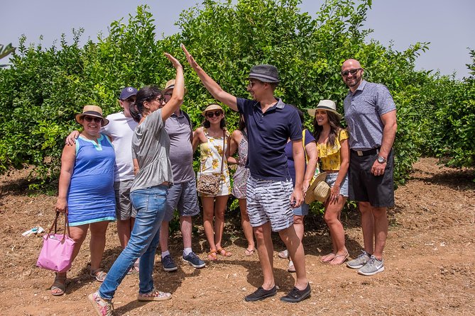 Olive oil tasting in Syracuse, Sicily - Evoo Tour - The guided tasting, comparing award-winning EVO oil