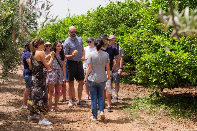 Olive oil tasting in Syracuse, Sicily - Evoo Tour - Price and value: is $96.11 worth an hour?
